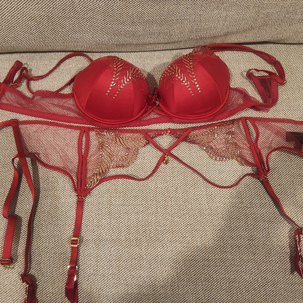 Honey Birdette Red Bra Intimates & Sleepwear